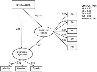 Childhood Socioeconomic Status and Depressive Symptoms of Young Adults: Mediating Role of Childhood Trauma